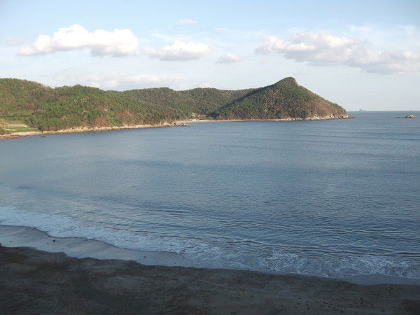 Андрей Паневин