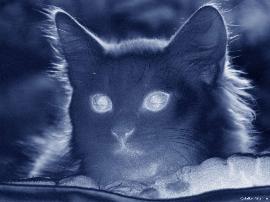 Лариса Лариса