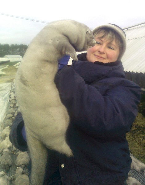 Наталья Онищенко