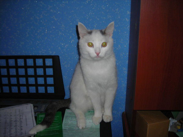 Виктория ***