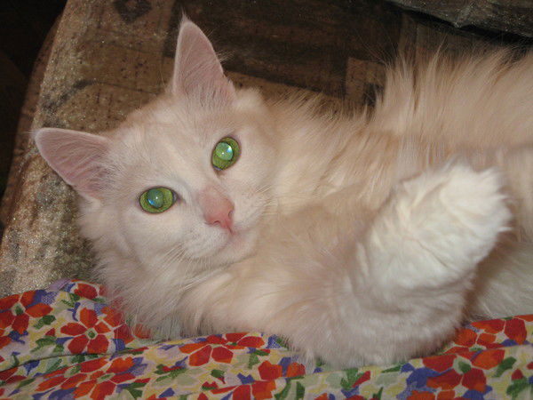 Марина Морозова