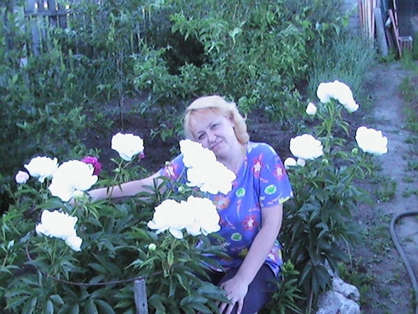 Елена Васильева