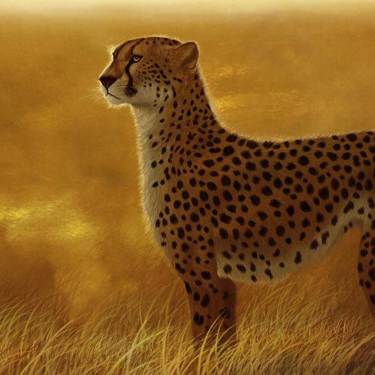 Наиль Фахурдинов