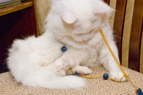 Елена Коровкина