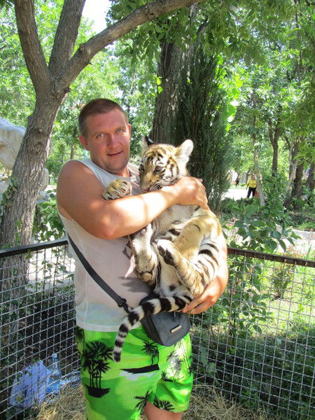 Дмитрий Гомаз