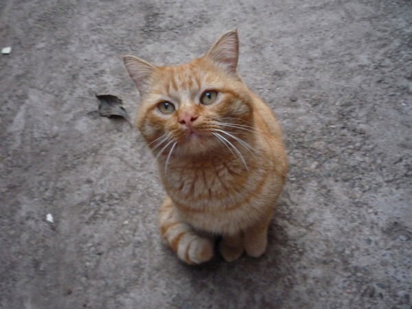 Гульзия Рахимова