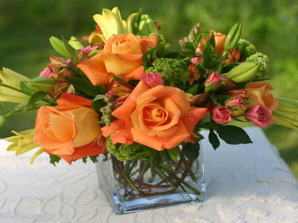 Анжелика Дик