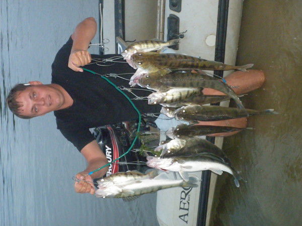 Макс Антонец