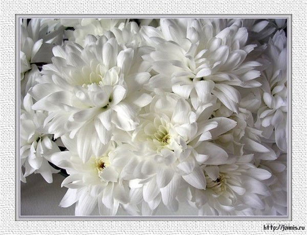 Айжан Сепсекенова