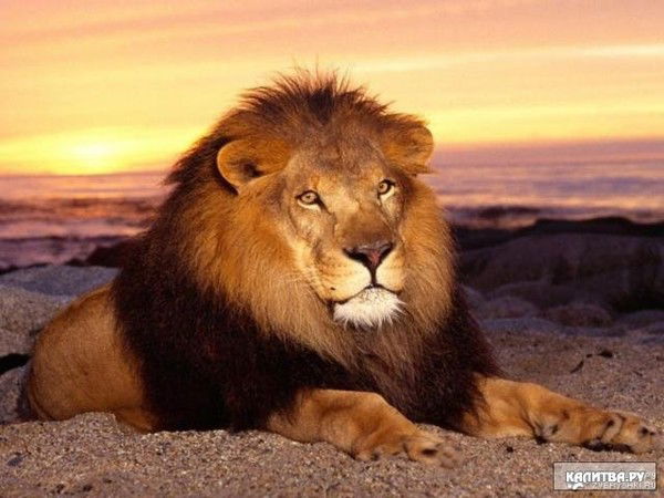 Татьяна Валерьевна