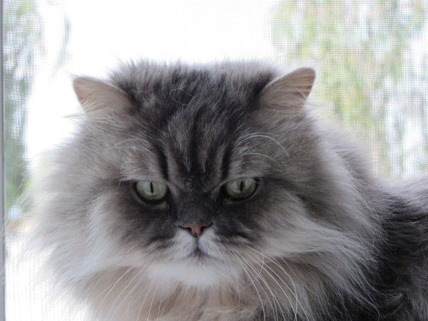 Виталий Шинкарёв