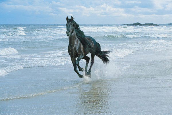 Асылболат Мырзагалиев