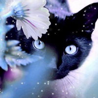 Наталья Сикамова