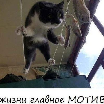 Валерий Павлович