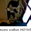 Валерий Павлович