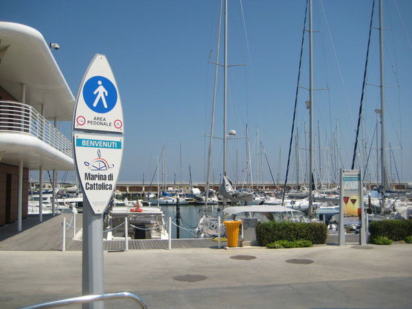 Елена Васильева