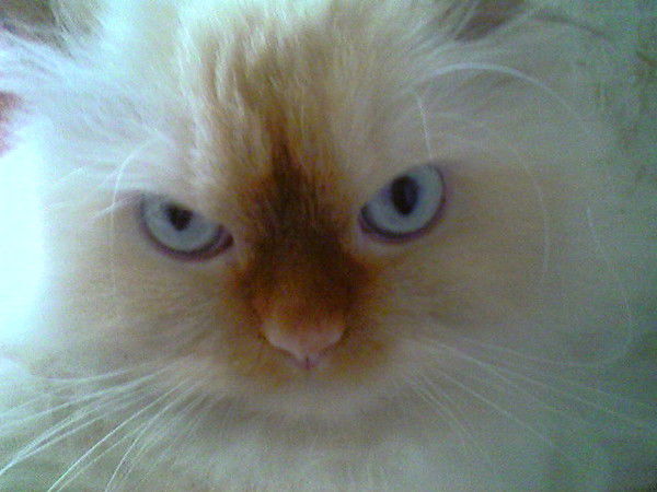 Татьяна Носач