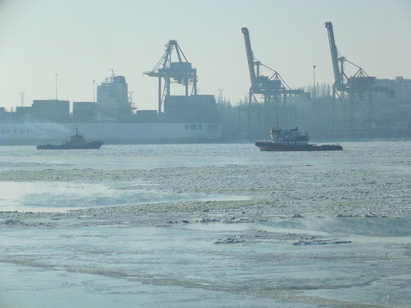 Pavel Тимофеев