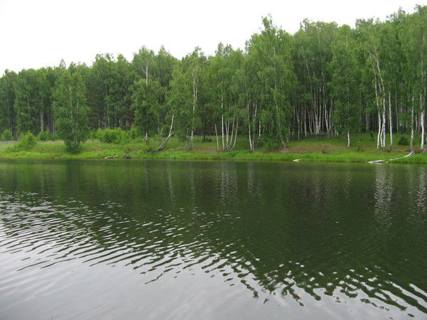 Алексей Лапутин