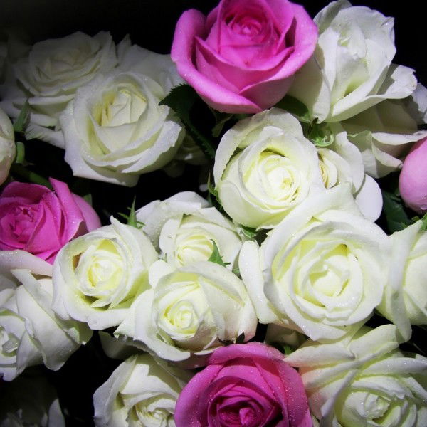 Роза Якупова