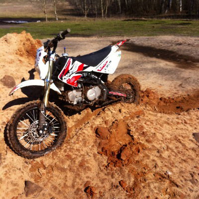 Александр Щеников