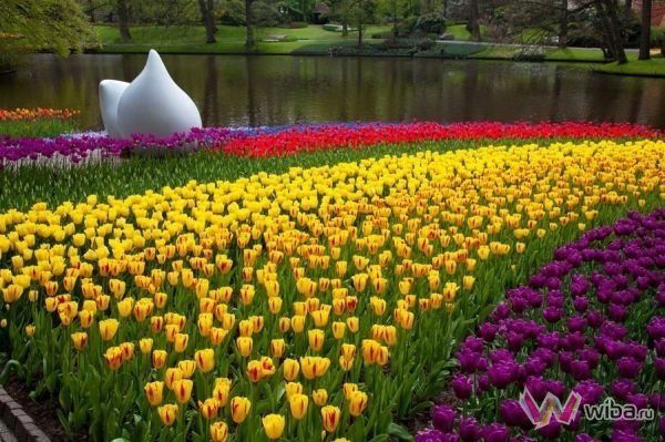 Елена Жермаль.