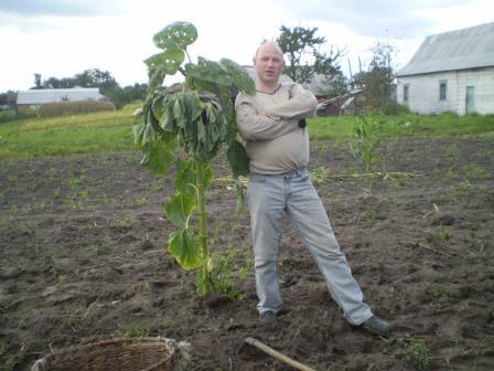 Дима Ходаковский