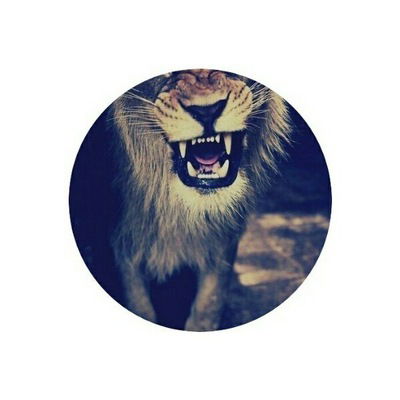 Егор Гнатченко