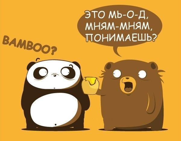 Анастасия Федоренко