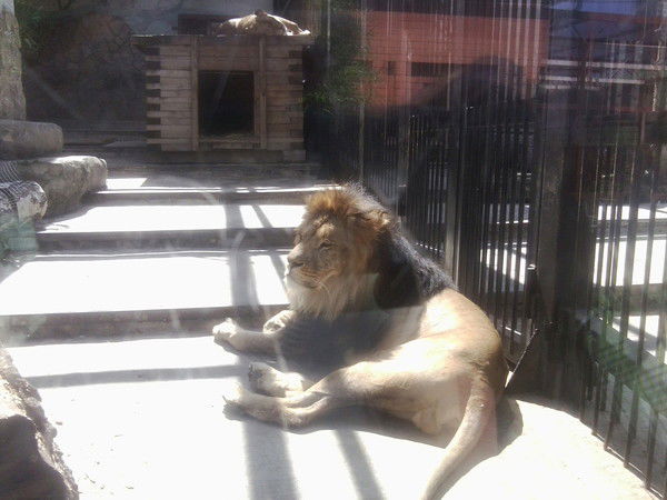 Лариса Ершова