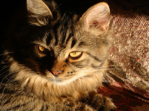 Ольга Ольга Кравчук