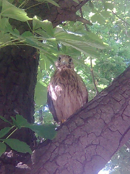 Генадий Чекалкин