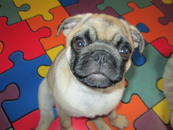 Ольга Михнёнок