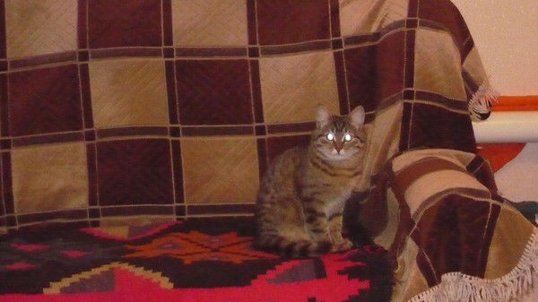 Олия Харисова