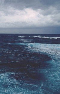 Юлия Лукашук