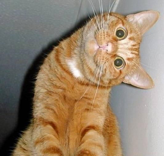 Анастасия О