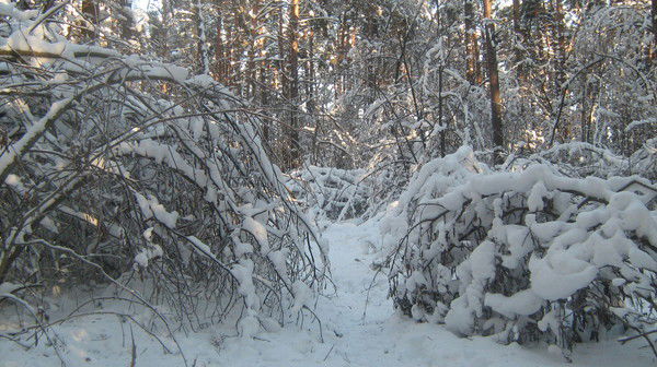 Константин Луканов