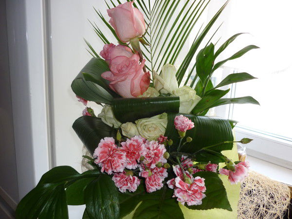 Алла Овчинникова