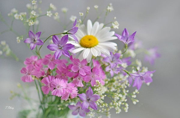 Юлия Рожкова