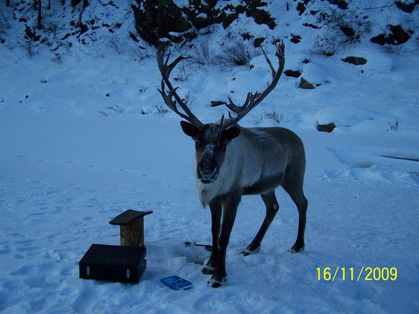 Петя Унаров