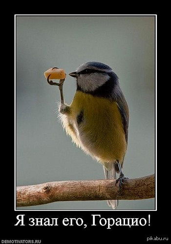 Дмитрий Николаевич