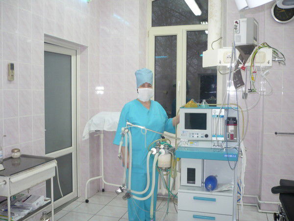 Елена Бехтольд