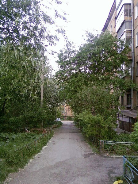 Дмитрий Чадов