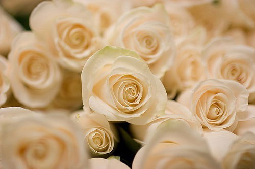 Гульмира Сейтенова