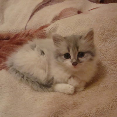 Анастасия Слепнёва