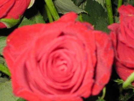 Ирина Катаргина