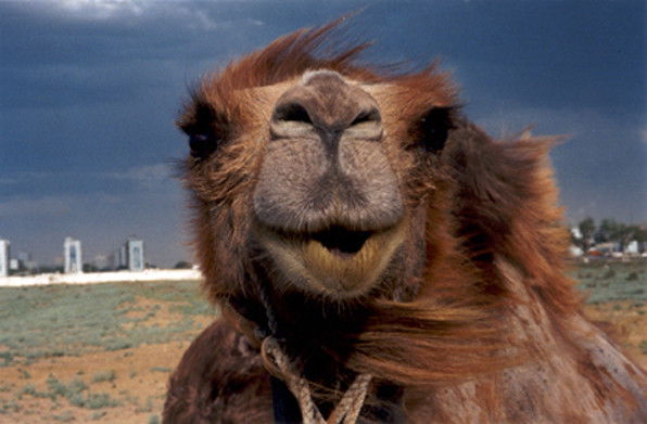 Александр Бороздин