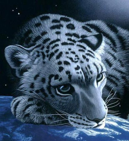 Женька К-Ва