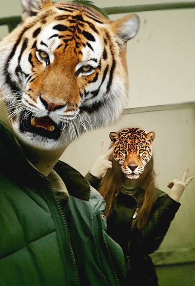 Сервер Арифов