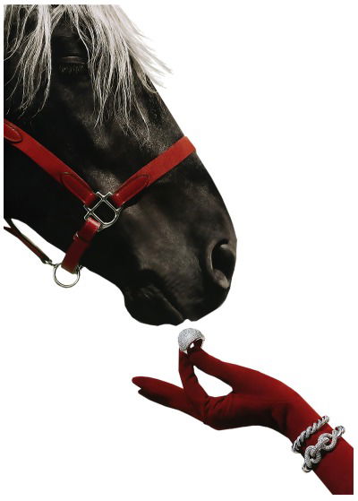 Светлана Петрова